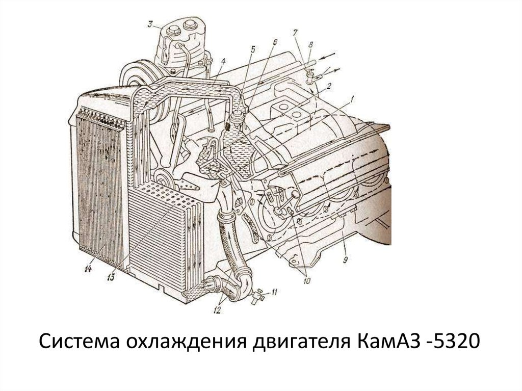 Схема охлаждения газ 53