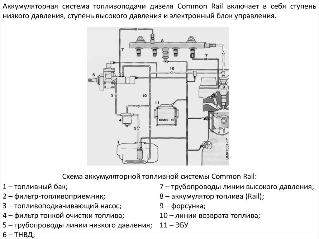 Общая схема системы питания дизельного двигателя