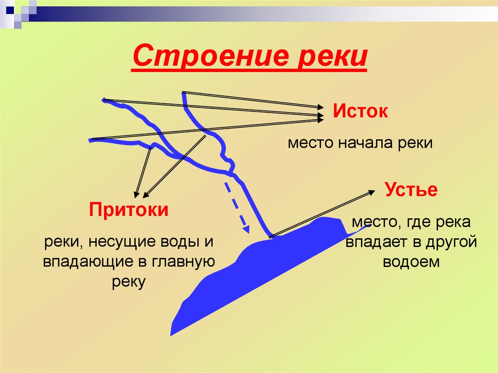 На какой схеме правильно подписаны части реки