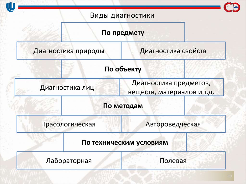 Диагностический вид