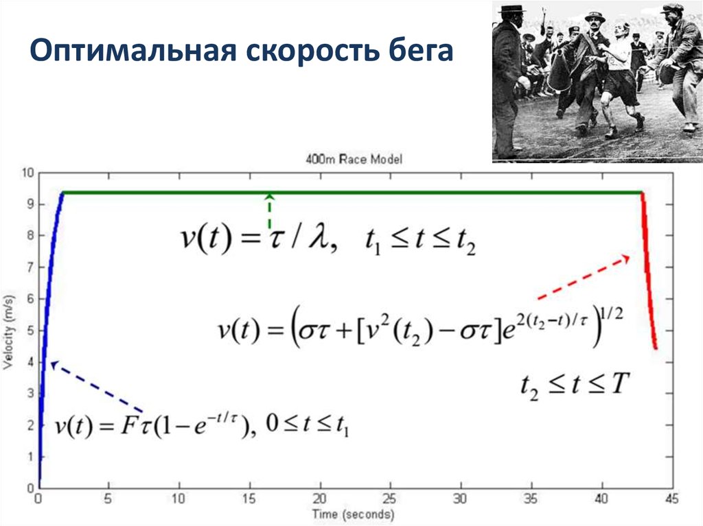 Оптимальная скорость. Оптимальная скорость для пробежки. Оптимальный темп при беге.