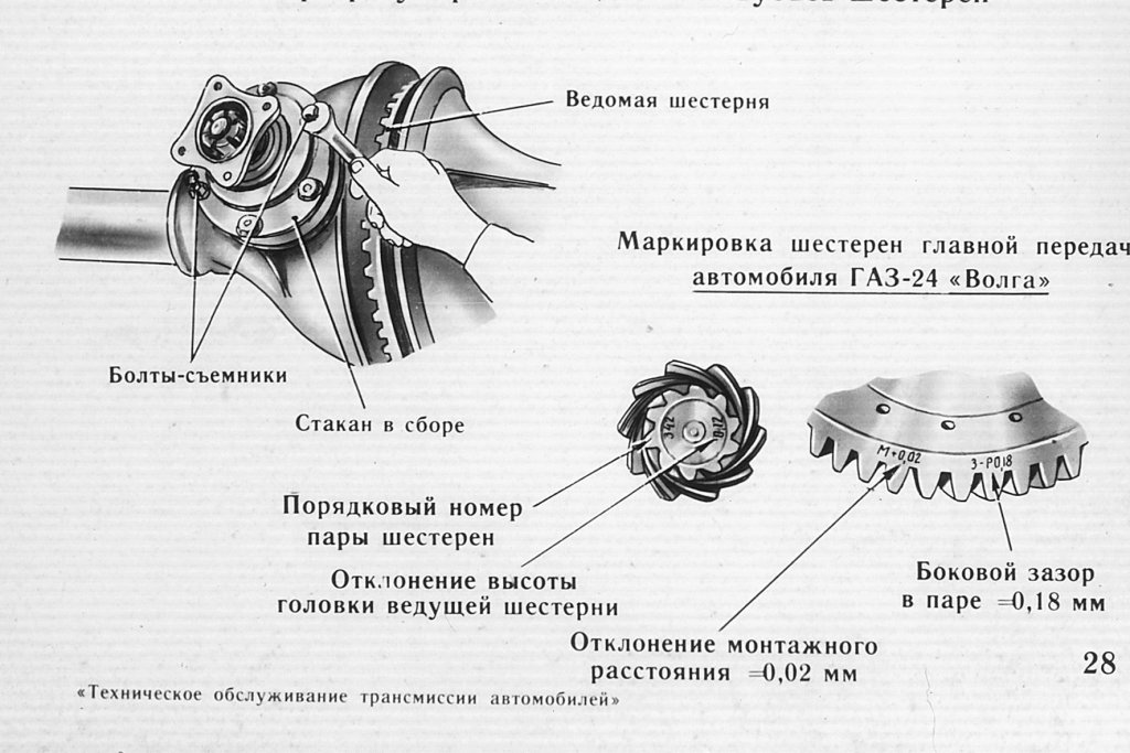 Чертеж главной пары