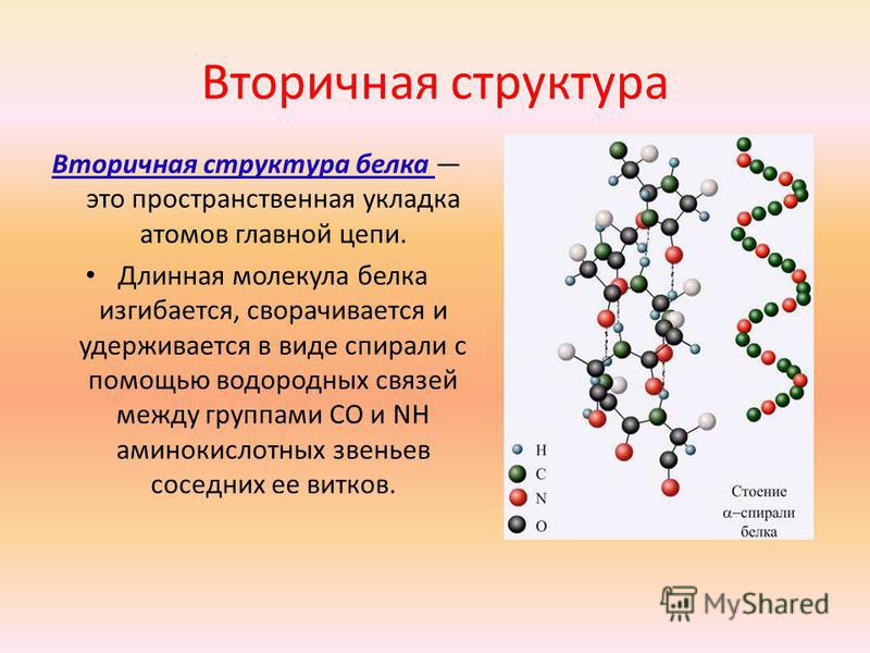 Информацию о молекуле белка