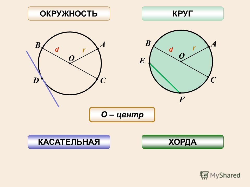 Урок окружность хорды и диаметр их свойства. Окружность. Круги и окружности. Хорда и диаметр окружности. Тема окружность.