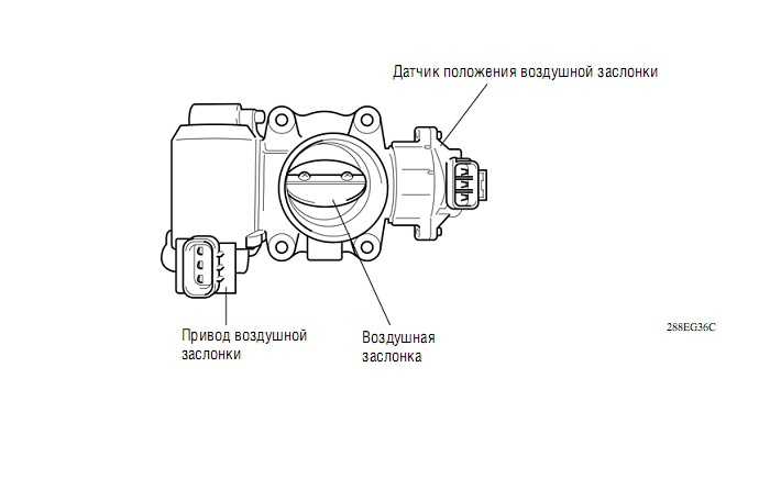 Положение дроссельной заслонки в процентах тойота
