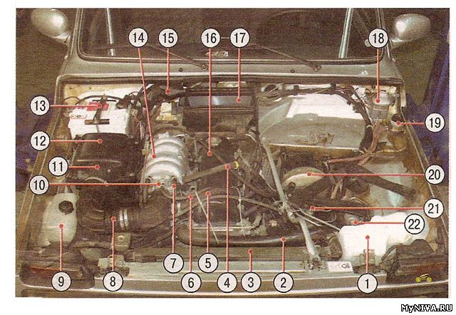 Подкапотное пространство шевроле нива схема