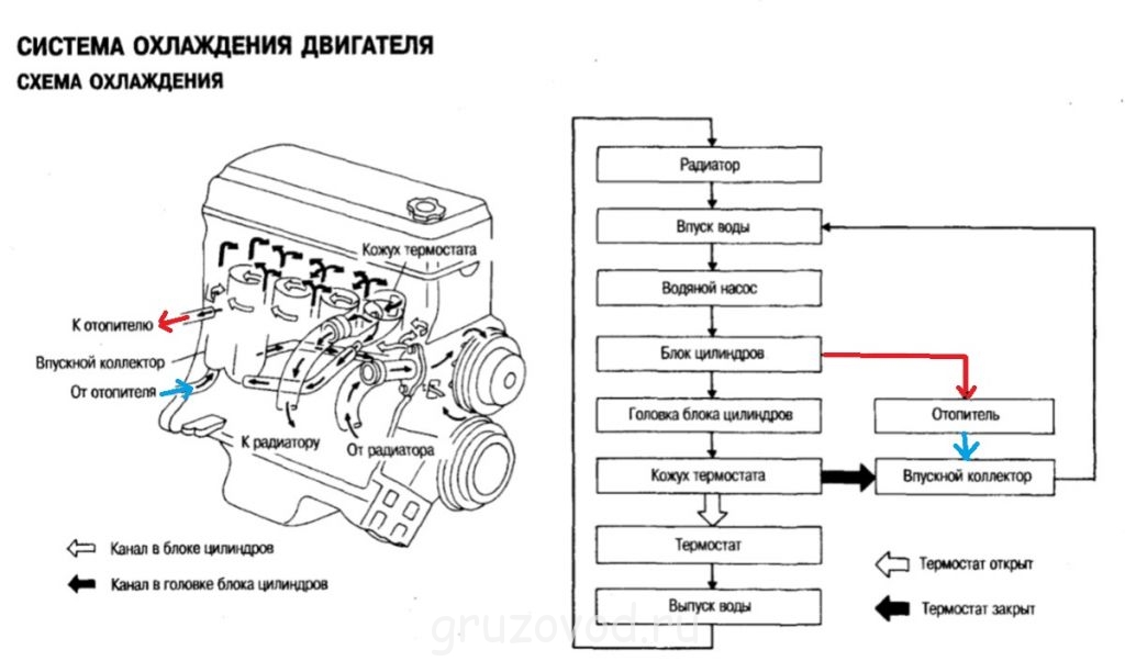 Схема охлаждения двигателя ниссан
