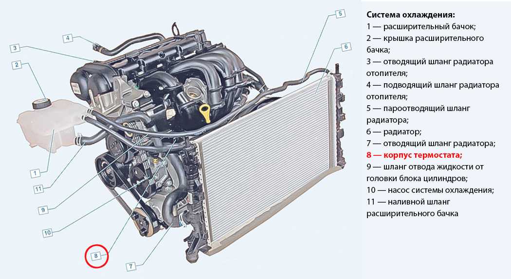 Схема охлаждения система охлаждения форд фьюжен