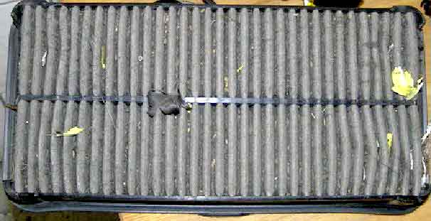 ClipBoard-34.jpg ClipBoard-34.jpg