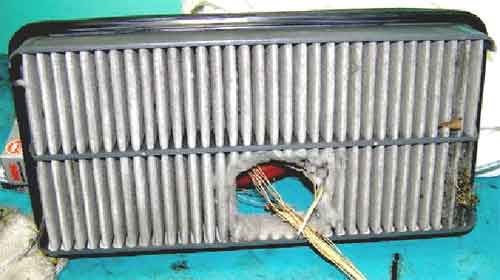 ClipBoard-36.jpg ClipBoard-36.jpg