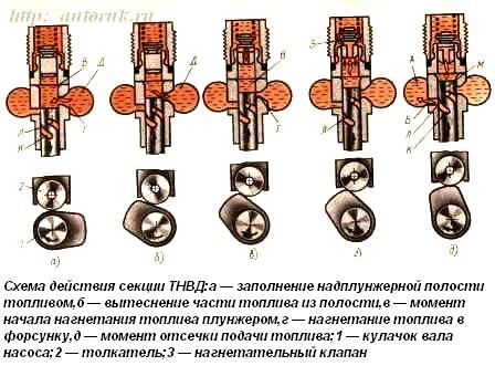 Схема работы плунжерной пары тнвд