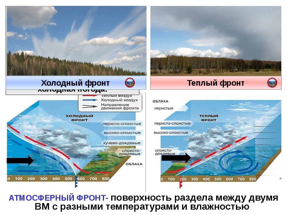 Для холодного атмосферного фронта характерна погода. Холодный и теплый атмосферный фронт схема. Теплый атмосферный фронт схема. Теплый атмосферный фронт и холодный атмосферный фронт. Холодный атмосферный фронт схема.