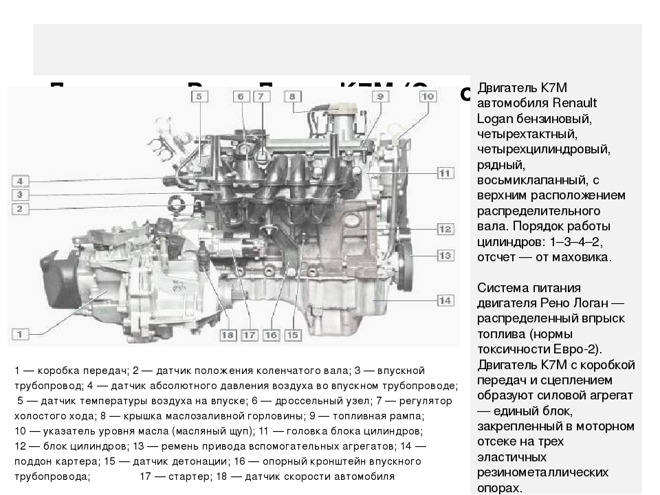 Датчики на двигателе к4м. Датчики двигателя Рено Логан 1.4 8. Схема двигателя Рено Логан 1.6. Двигатель Рено Логан 1.6 8 схема. Двигатель Рено Логан 1.4 8 клапанов датчики.