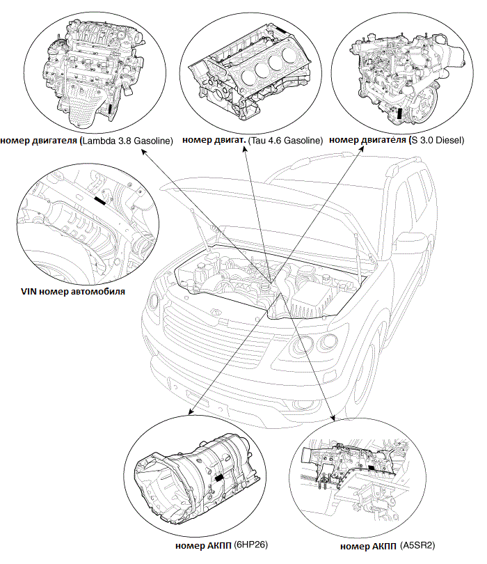 Схема двигателя по вин коду автомобиля